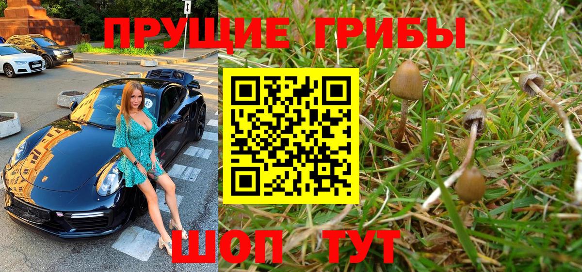 Галлюциногенные грибы Cubensis  Вход с VPN  Рязань 