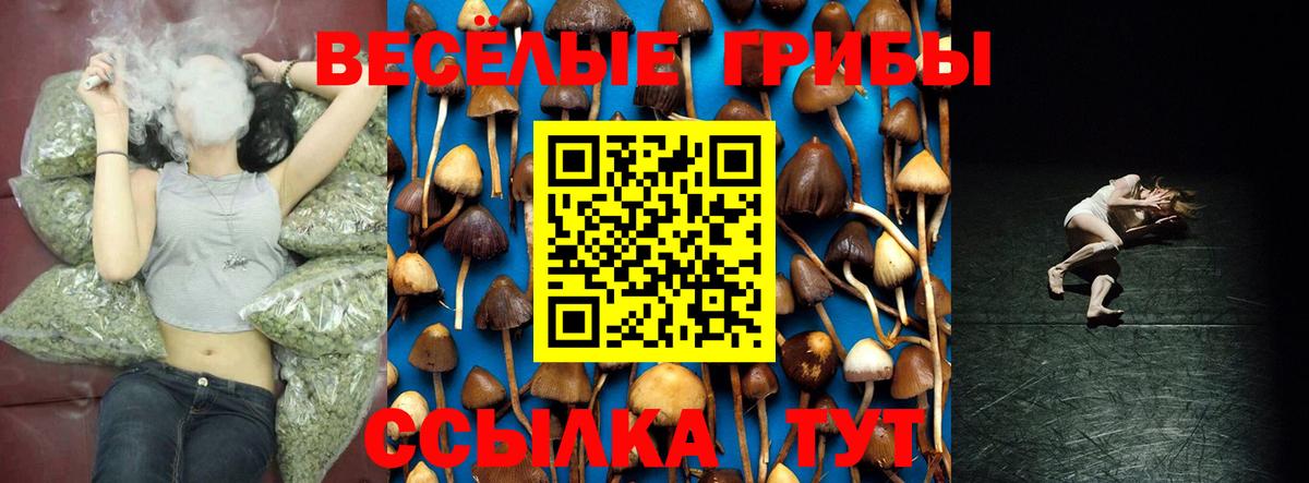 Псилоцибиновые грибы Psilocybe Рязань